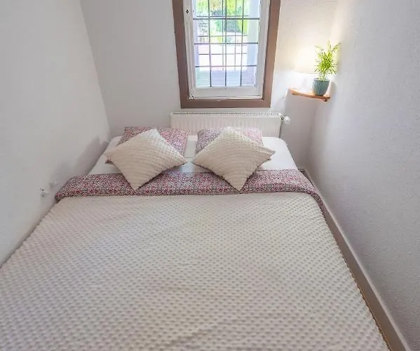 Appartement Agroturystyka Zakrzewo 10